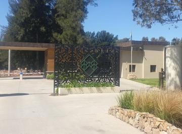 LOTE/TERRENO en Canning (GBA Sur) - cocina - Arcudi Propiedades